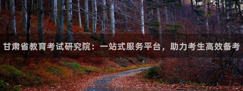 新宝股东张听2 5 5