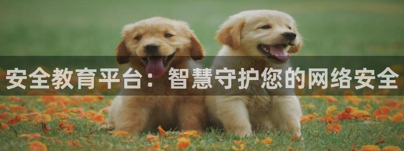 新宝5新宝6顺达