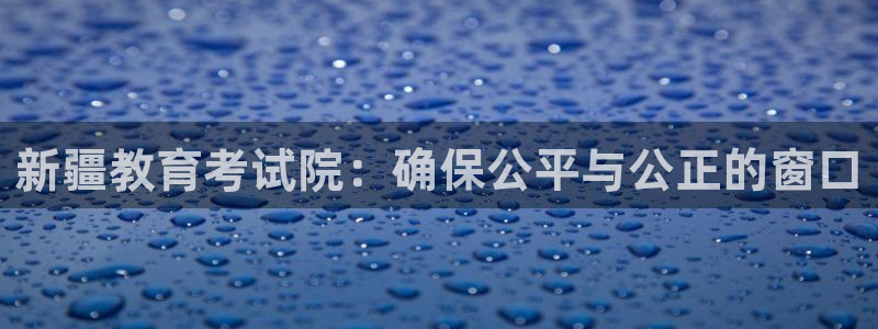 新宝5是谁的