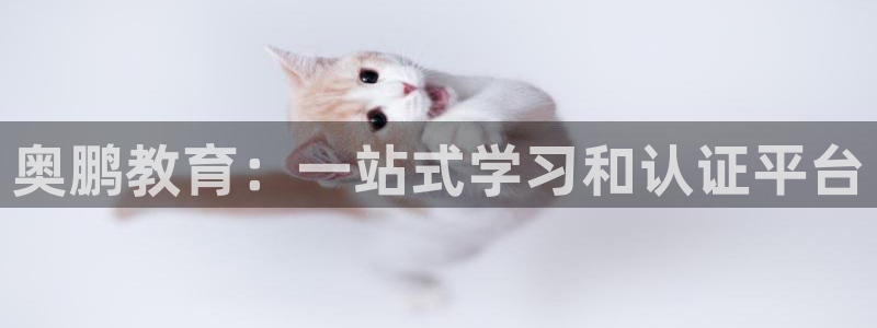 新宝5 唯一