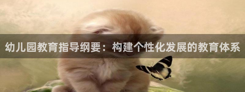新宝5是什么