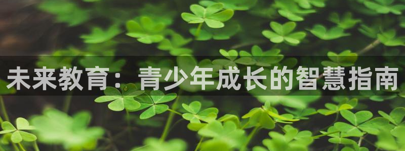 新宝5手机app