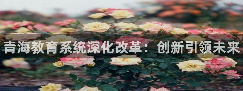 新宝娱乐5