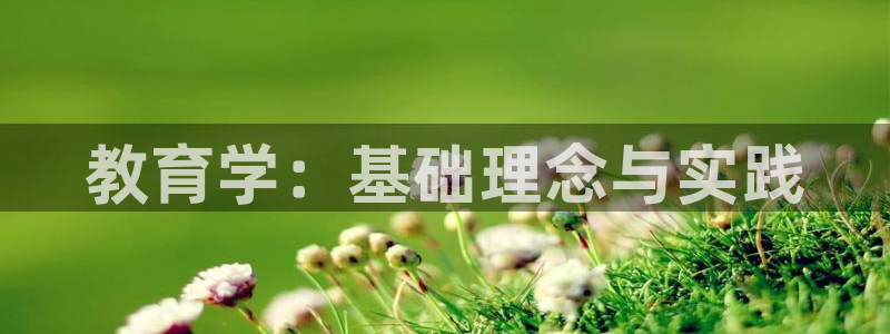 有人知道新宝5么