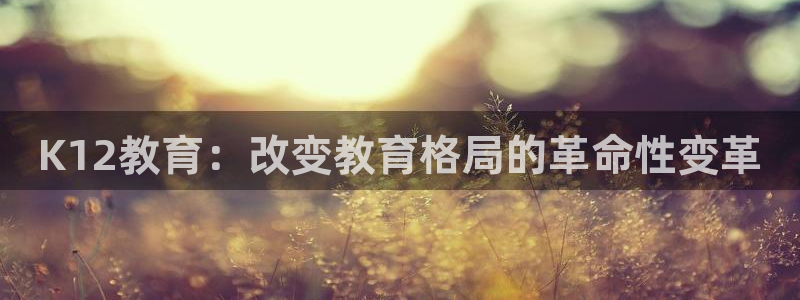 新宝5彩票娱乐平台