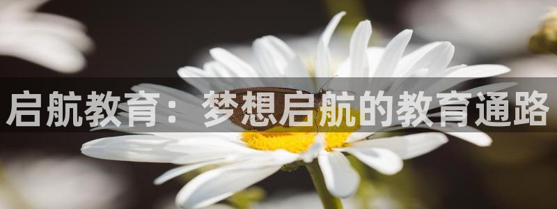 新宝5娱乐注