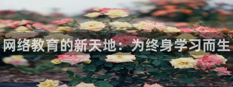 新宝5彩票是正规平台吗