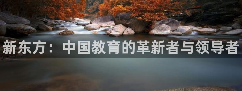 新宝5寂创33300散