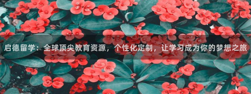 新宝5褚32OO59