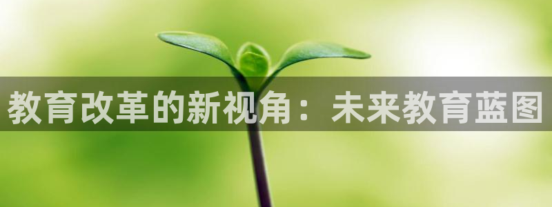 新宝5娱乐经