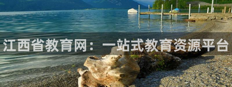新宝5是什么样子的