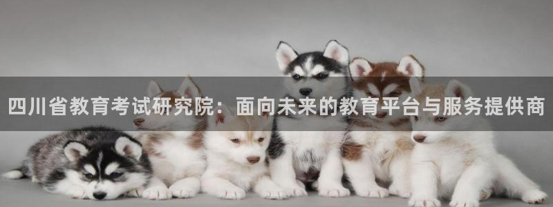 新宝5官方下载地址
