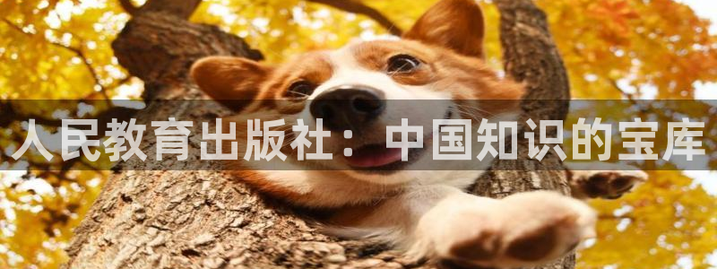 新宝5网站