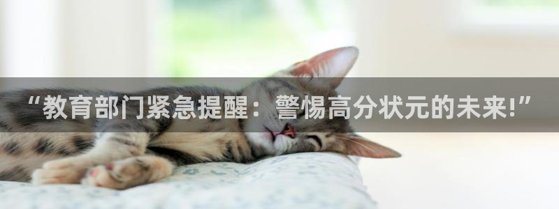 新宝5开户