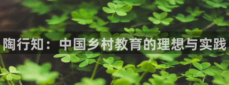 新宝5下载软件