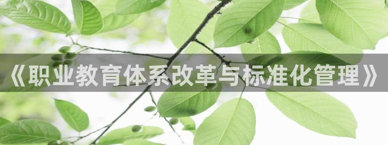 新宝5直属