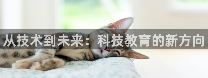 新宝5代理