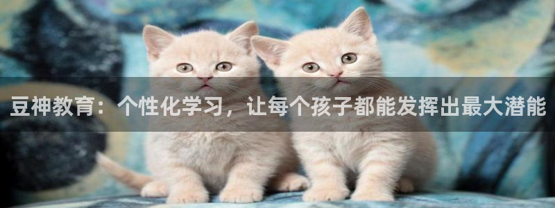 新宝5招商部