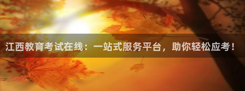 新宝5是什么样子的