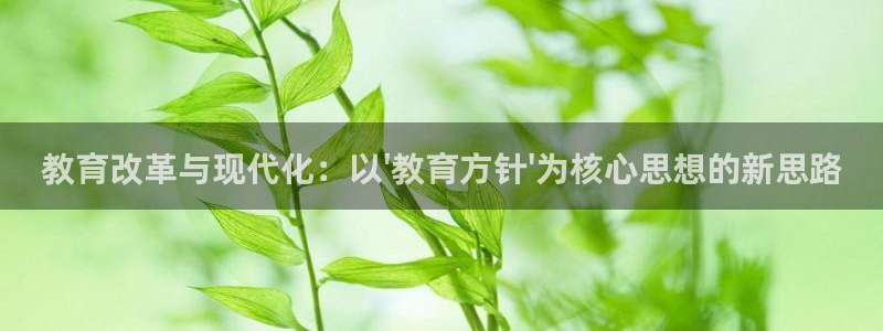 新宝5测速登陆