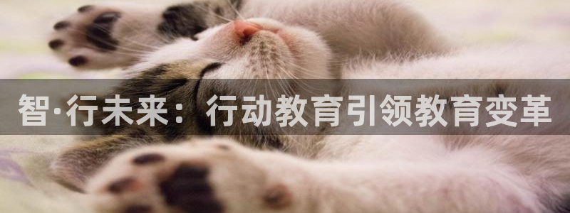 新宝5开户