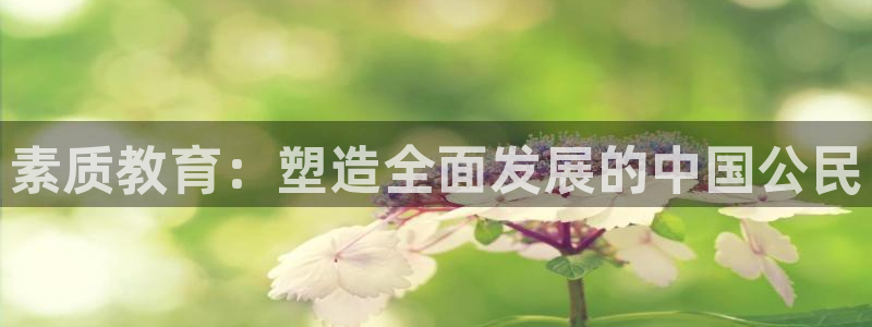 新宝5测速在线
