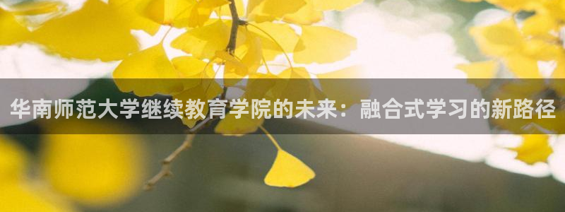 新宝5手机平台登陆
