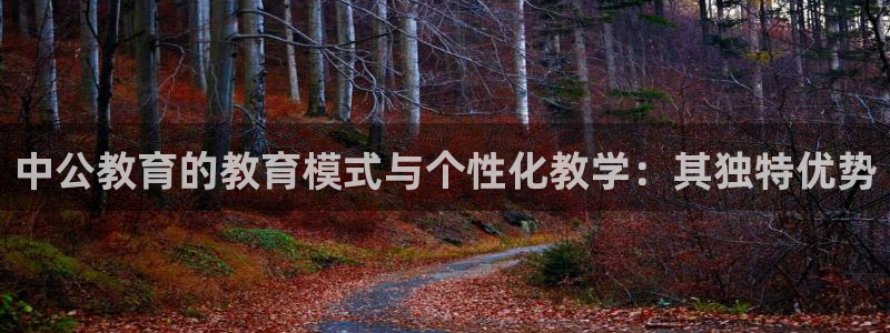 新5宝