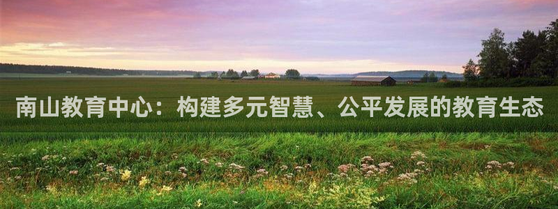 菲律宾新宝5老板