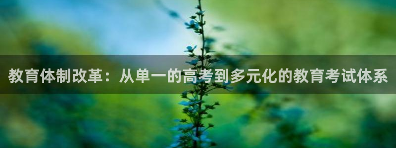 新宝5官网app