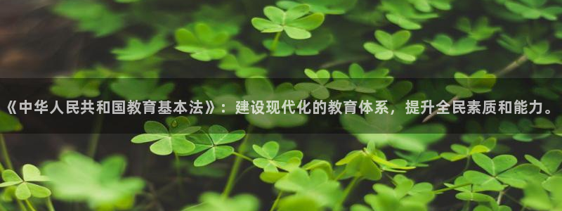 新宝5娱乐招商