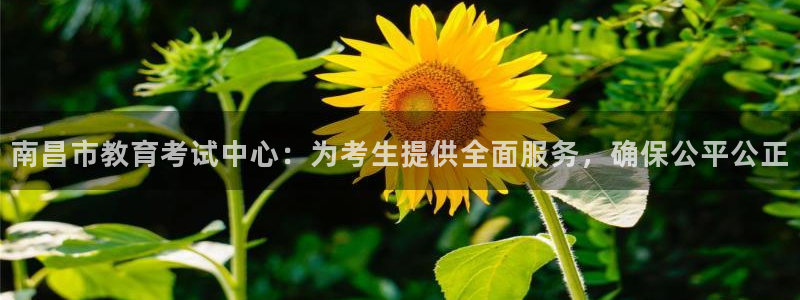 新宝堂新会陈皮5年
