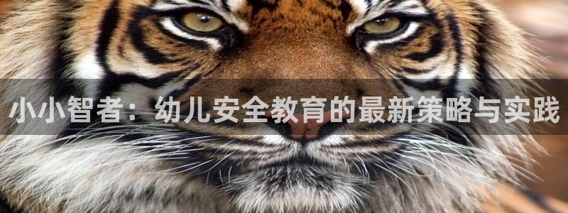 新宝娱乐5入口