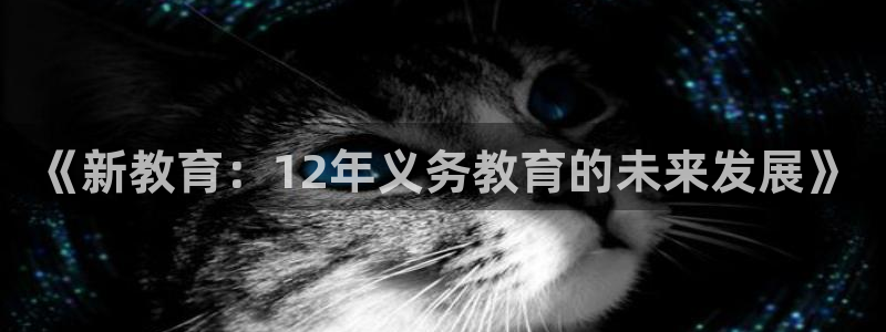 新宝5招商222111
