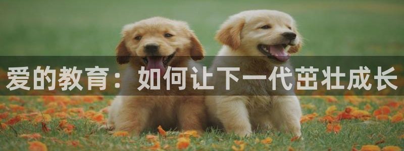 新宝5下载 迅雷下载