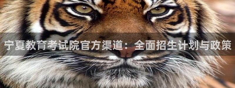 新宝股东瞧听2 5 5