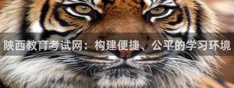 新宝5苹果手机下载