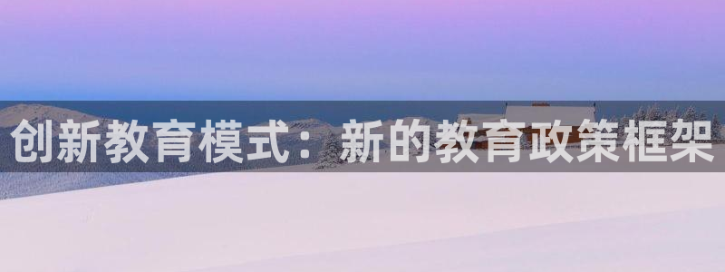 菲律宾新宝5老板