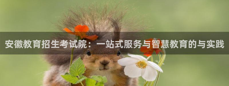 新宝股东王听2 5 5